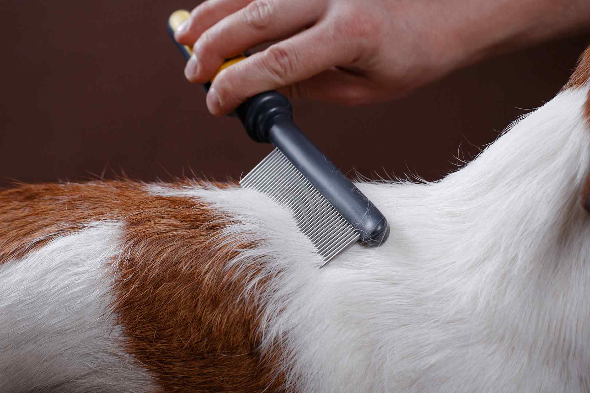 portfolio_03 portfolio_03