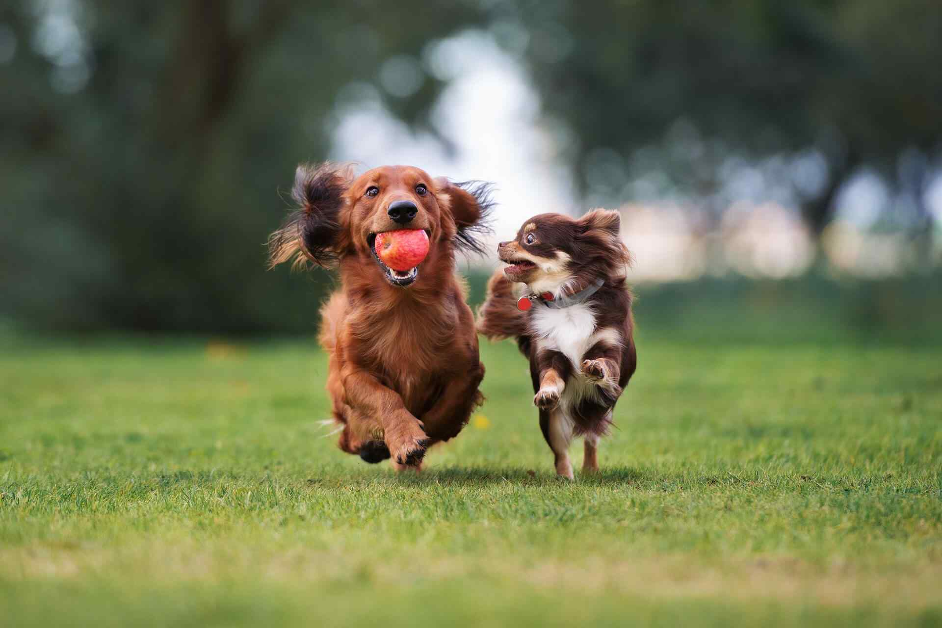 portfolio_04 portfolio_04